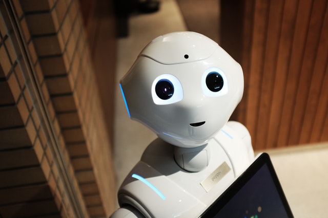 Hotel Robot