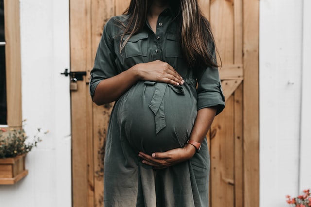 Brazil asks women to postpose pregnancies