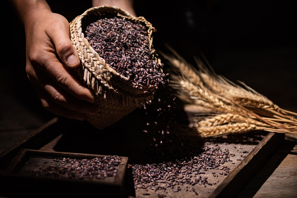 Forbidden Rice